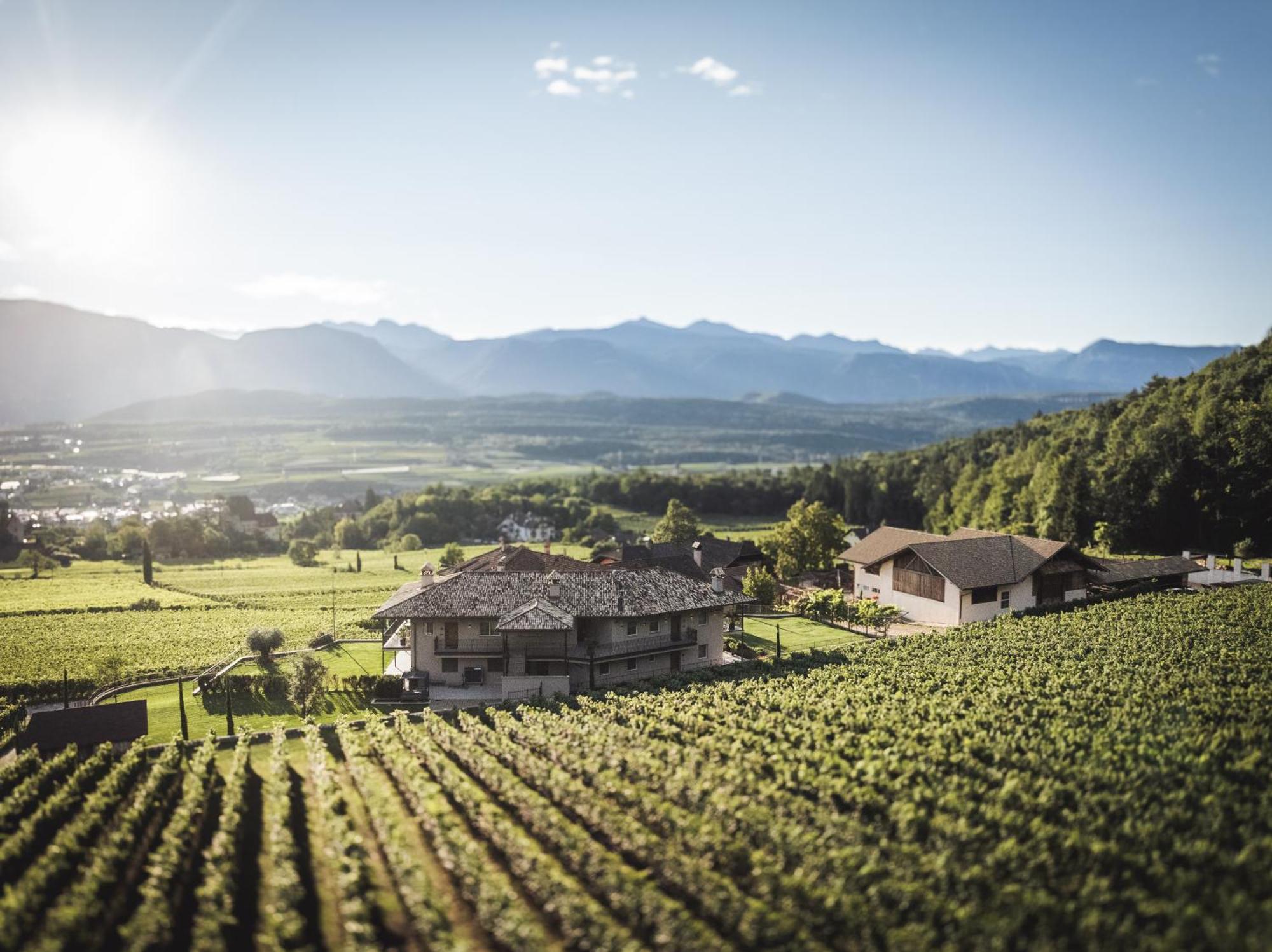 Apartamento Nofnerhof Appiano Sulla Strada Del Vino Exterior foto