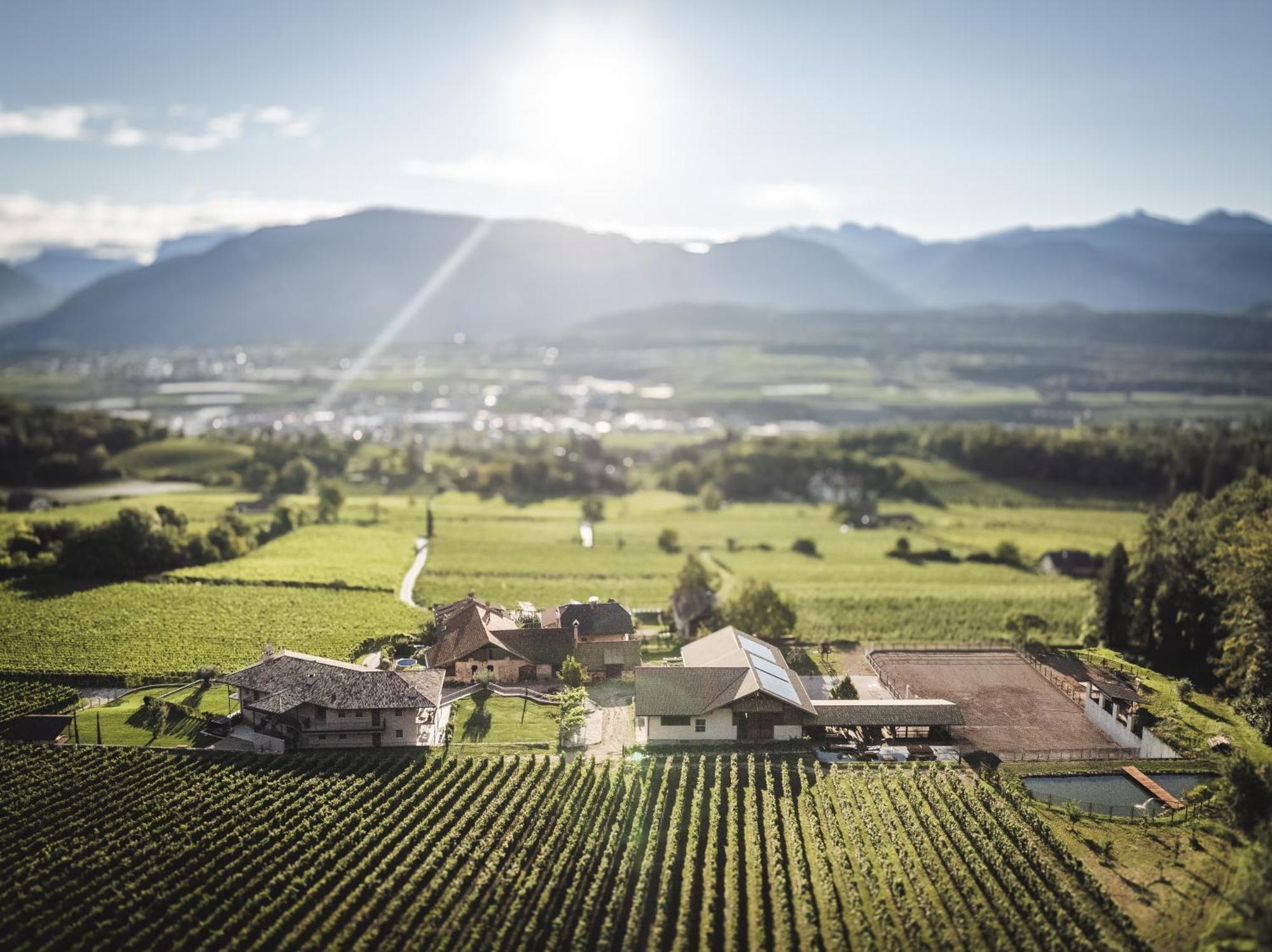 Apartamento Nofnerhof Appiano Sulla Strada Del Vino Exterior foto