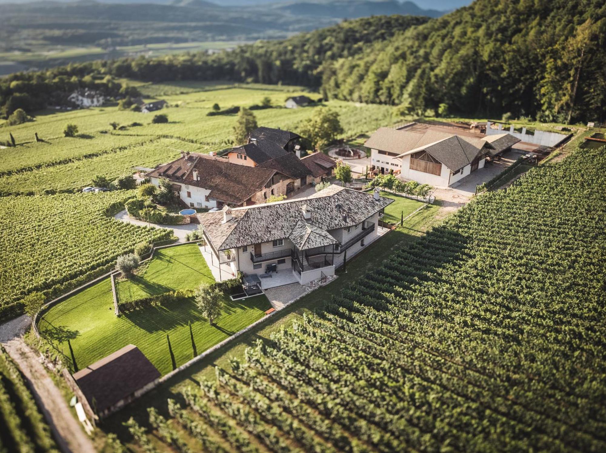 Apartamento Nofnerhof Appiano Sulla Strada Del Vino Exterior foto